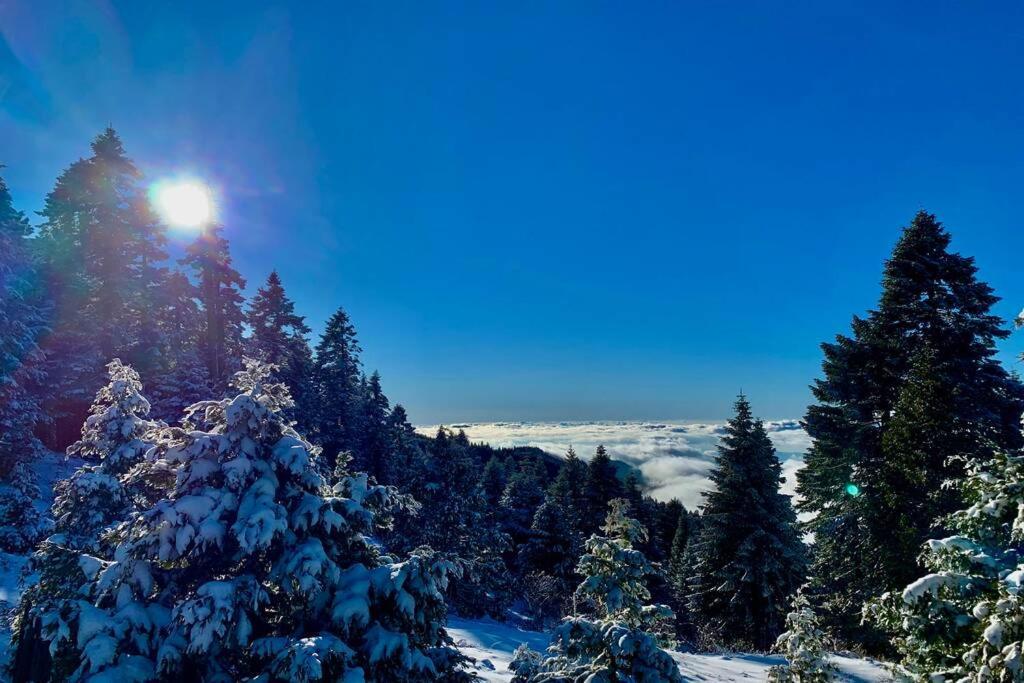 Вілла Stunning Views Total Privacy Absolute Tranquility Wofford Heights Екстер'єр фото